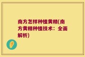 南方怎样种植黄精(南方黄精种植技术：全面解析)