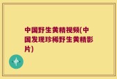 中国野生黄精视频(中国发现珍稀野生黄精影片)