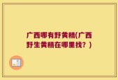 广西哪有野黄精(广西野生黄精在哪里找？)