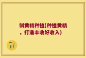 制黄精种植(种植黄精，打造丰收好收入)