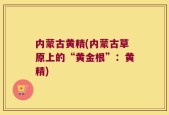 内蒙古黄精(内蒙古草原上的“黄金根”：黄精)