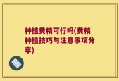 种植黄精可行吗(黄精种植技巧与注意事项分享)