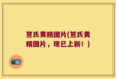 笪氏黄精图片(笪氏黄精图片，现已上新！)