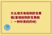 什么地方有收购野生黄精(某地收购野生黄精：一种珍贵的药材)