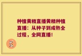 种植黄精直播黄精种植直播：从种子到成熟全过程，全网直播！