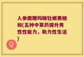 人参鹿鞭玛咖牡蛎黄精和(五种中草药提升男性性能力，助力性生活)