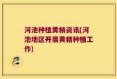 河池种植黄精资讯(河池地区开展黄精种植工作)