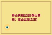 泰山黄精盆景(泰山黄精：高山盆景之王)