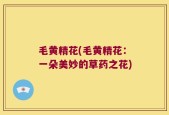 毛黄精花(毛黄精花：一朵美妙的草药之花)