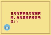 北方挖黄精北方挖掘黄精，发现黄精的神奇功效！)
