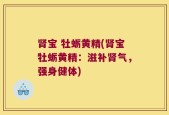 肾宝 牡蛎黄精(肾宝牡蛎黄精：滋补肾气，强身健体)