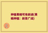 种植黄精可有前途(黄精种植：前景广阔)