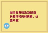 湖南有黄精没(湖南生长着珍稀药材黄精，价值不菲)