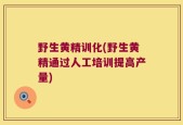野生黄精训化(野生黄精通过人工培训提高产量)
