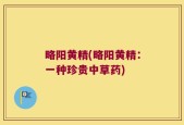 略阳黄精(略阳黄精：一种珍贵中草药)