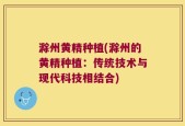 滁州黄精种植(滁州的黄精种植：传统技术与现代科技相结合)