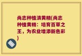 尚志种植滇黄精(尚志种植黄精：培育百草之王，为农业增添新色彩)