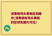 滇黄精鸡头黄精区别图片(滇黄精和鸡头黄精的区别及图片对比)