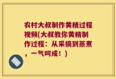 农村大叔制作黄精过程视频(大叔教你黄精制作过程：从采摘到蒸煮，一气呵成！)