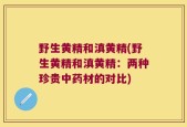 野生黄精和滇黄精(野生黄精和滇黄精：两种珍贵中药材的对比)