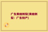 广东黄精刺梨(黄精刺梨：广东特产)