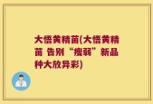 大悟黄精苗(大悟黄精苗 告别“瘦弱”新品种大放异彩)