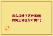 怎么从叶子区分黄精(如何正确区分叶黄？)