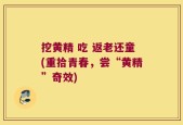 挖黄精 吃 返老还童(重拾青春，尝“黄精”奇效)