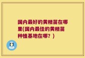国内最好的黄精苗在哪里(国内最佳的黄精苗种植基地在哪？)