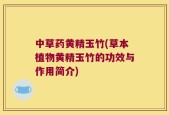 中草药黄精玉竹(草本植物黄精玉竹的功效与作用简介)