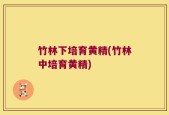 竹林下培育黄精(竹林中培育黄精)