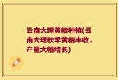 云南大理黄精种植(云南大理秋季黄精丰收，产量大幅增长)