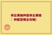 祥云黄精种苗祥云黄精：种植管理全攻略)