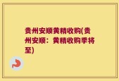 贵州安顺黄精收购(贵州安顺：黄精收购季将至)