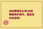 水培黄精怎么养(水培黄精养护技巧，提高生长成活率)