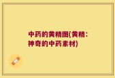 中药的黄精图(黄精：神奇的中药素材)
