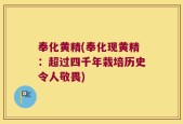 奉化黄精(奉化现黄精：超过四千年栽培历史令人敬畏)