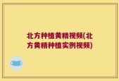 北方种植黄精视频(北方黄精种植实例视频)