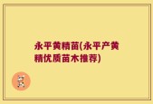 永平黄精苗(永平产黄精优质苗木推荐)