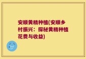 安顺黄精种植(安顺乡村振兴：探秘黄精种植花费与收益)