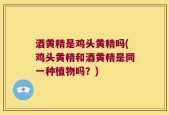 酒黄精是鸡头黄精吗(鸡头黄精和酒黄精是同一种植物吗？)