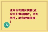 正宗当归图片黄精(正宗当归黄精图片，滋补养生，助您靓丽健康！)