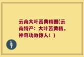 云南大叶苦黄精图(云南特产：大叶苦黄精，神奇功效惊人！)