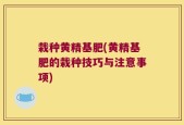栽种黄精基肥(黄精基肥的栽种技巧与注意事项)