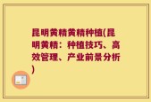昆明黄精黄精种植(昆明黄精：种植技巧、高效管理、产业前景分析)