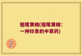 翅尾黄精(翅尾黄精：一种珍贵的中草药)