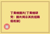 丁黄精图片(丁黄精研究：图片揭示其抗结肠癌机制)
