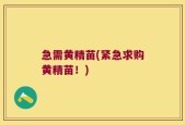 急需黄精苗(紧急求购黄精苗！)