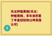 巩义种植黄精(巩义：种植黄精，多年来积累了丰富经验和口碑高度认可)