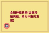 合肥种植黄精(合肥种植黄精，助力中医药发展)